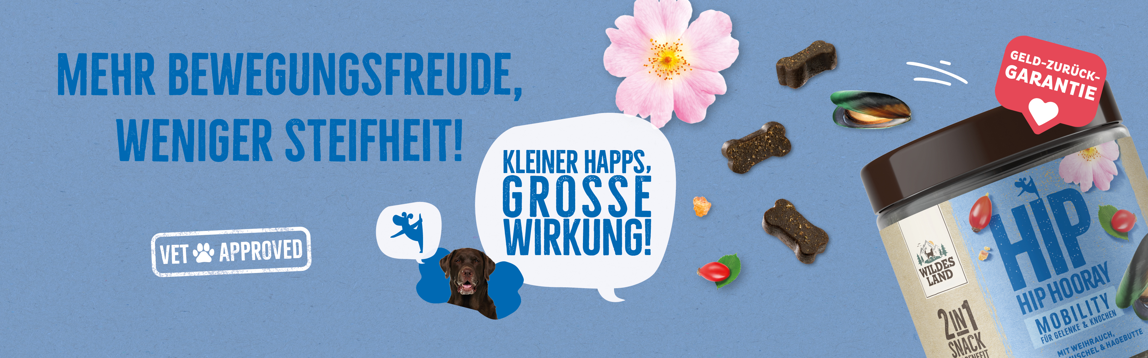 Werbung für 2in1 Snack MOBILITY von Wildes Land: Verpackung mit Leckerlis für bessere Beweglichkeit bei Hunden, umgeben von natürlichen Zutaten wie Hagebutte und Grünlippmuschel, auf blauem Hintergrund. Textbotschaften wie „Mehr Bewegungsfreude, weniger Steifheit!“ und „Vet Approved“.