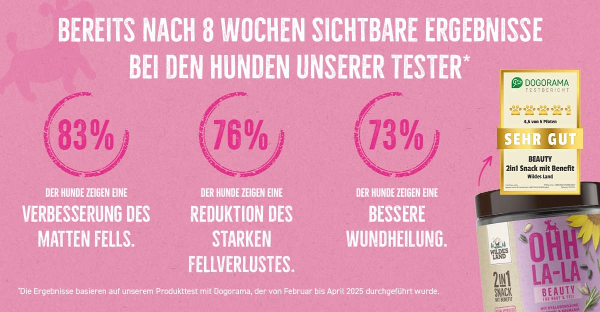 Das Bild zeigt den Wildes Land 2in1 Snack BEAUTY für Hunde mit Testergebnissen: 83 % der Hunde zeigten eine Verbesserung des matten Fells, 76 % eine Reduktion des Fellverlusts, 73 % eine bessere Wundheilung und 71 % eine Linderung des Juckreizes. Oben ist ein Testsiegel von Dogorama mit der Bewertung "Sehr gut" (4,5 von 5 Pfoten) abgebildet.
