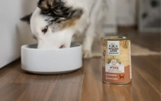 Hund frisst aus einem Futternapf, daneben steht eine Nassfutter Dose von Wildes Land
