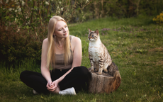 Katze sitzt auf einem Baumstamm in der Natur, Besitzern sitzt neben ihr und schaut sie an