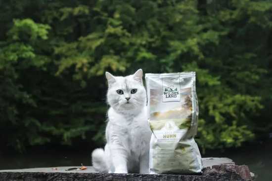 Eine weiße Katze sitzt auf einem Baumstumpf vor einem Hintergrund aus grünen Bäumen. Links von der Katze steht eine Packung Wildes Land Trockenfutter, Sorte Huhn für adulte Katzen.