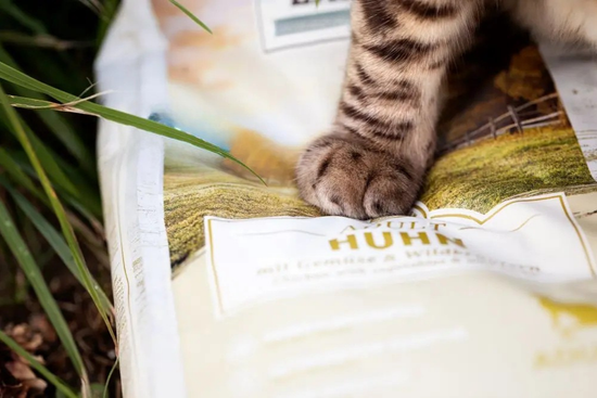 Ein Detailbild von einer getigerten Katzenpfote, die auf einer Packung Wildes Land Trockenfutter, Sorte Huhn, liegt.