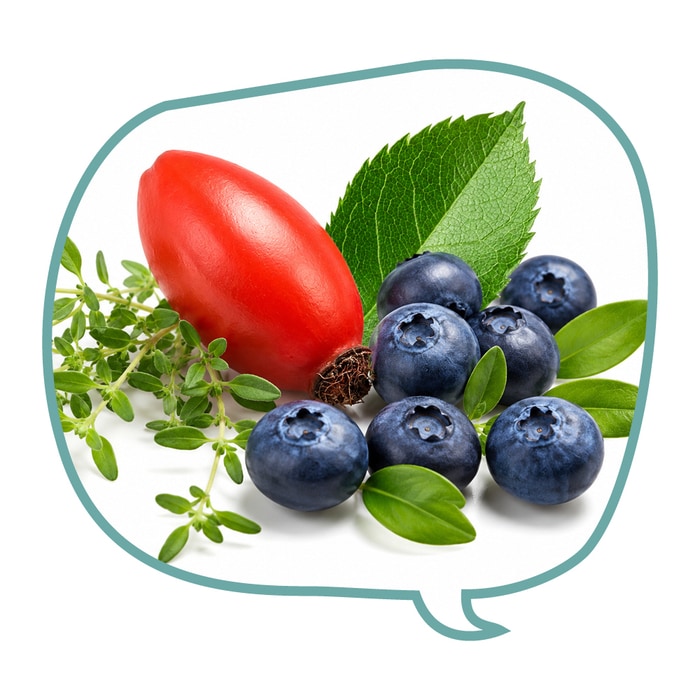 NATÜRLICHE ANTIOXIDANTIEN