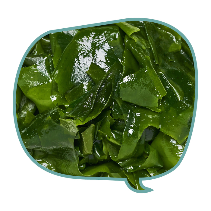 ALGENÖL
