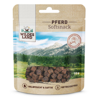 Pferd