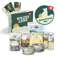Kitten Starter Box