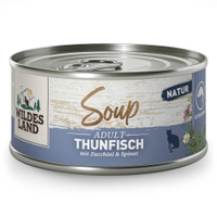 Thunfisch mit Zucchini & Spinat